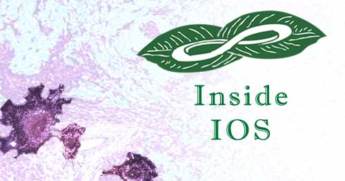 Inside IOS - Vitamin D Prevents Cancer